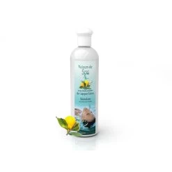 Parfum De Spa à Base D'huiles Essentielles De Cajeput Et De Citron Camylle 250 Ml -Fournitures De Piscine parfum spa huiles essentielles cajeput citron camylle 250 ml 2