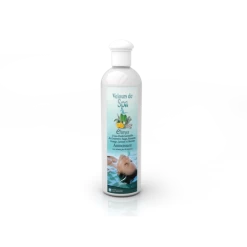 Parfum De Spa à Base D'huiles Essentielles Elinya Camylle 250 Ml -Fournitures De Piscine parfum spa huiles essentielles elinya camylle 250 ml