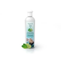 Parfum De Spa à Base D'huiles Essentielles D'Eucalyptus Et Menthe 250 Ml -Fournitures De Piscine parfum spa huiles essentielles eucalyptus menthe camylle 250 ml 2