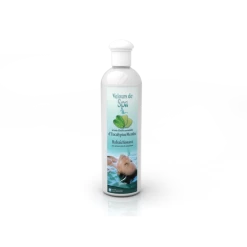 Parfum De Spa à Base D'huiles Essentielles D'Eucalyptus Et Menthe 250 Ml -Fournitures De Piscine parfum spa huiles essentielles eucalyptus menthe camylle 250 ml